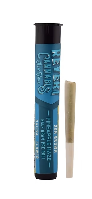 Revert | Pineapple Haze | Preroll | 0.5g