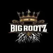 Big Rootz Soil