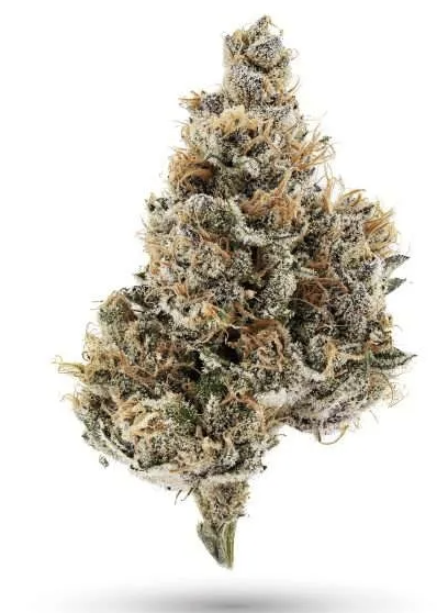 Razberry Runtz | Premium Flower | 3.5G