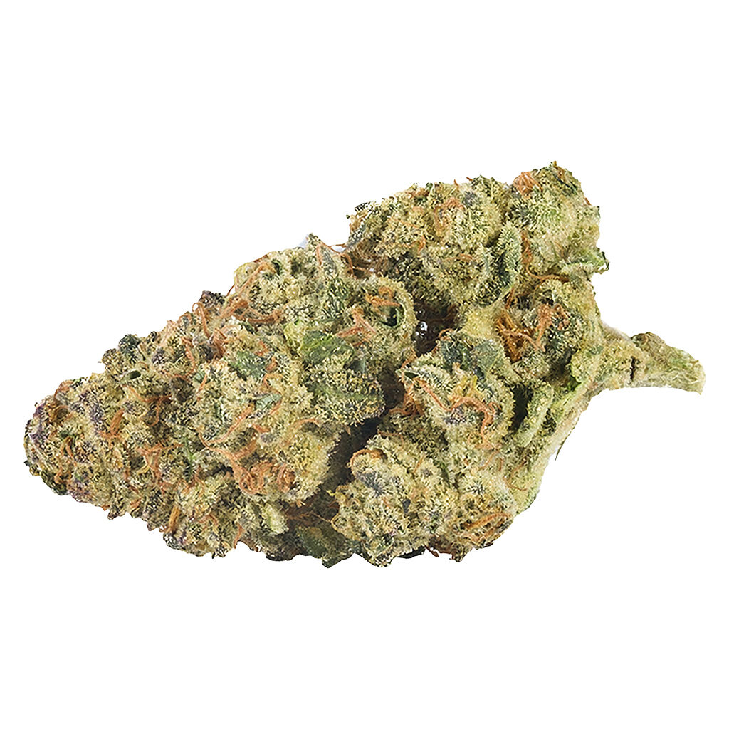 Back Forty - Mandarin Cookies - Sativa