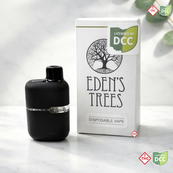 Raspberry Lemon H Disposable