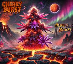 HERMITS DELIGHT LIVE ROSIN CHERRY BURST (I/H) 1G