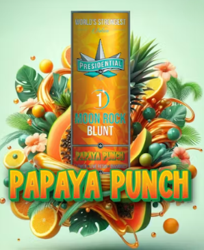 PAPAYA PUNCH MOONROCK BLUNT [S]