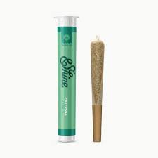 Single Preroll - Blue Zashimi - &Shine - REC