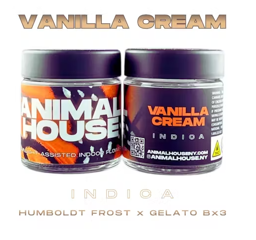 Animal House | Flower | Vanilla Cream