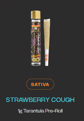 Jungle Juice | Strawberry Cough | Infused Tarantula Pre-Roll | 1g | Sativa