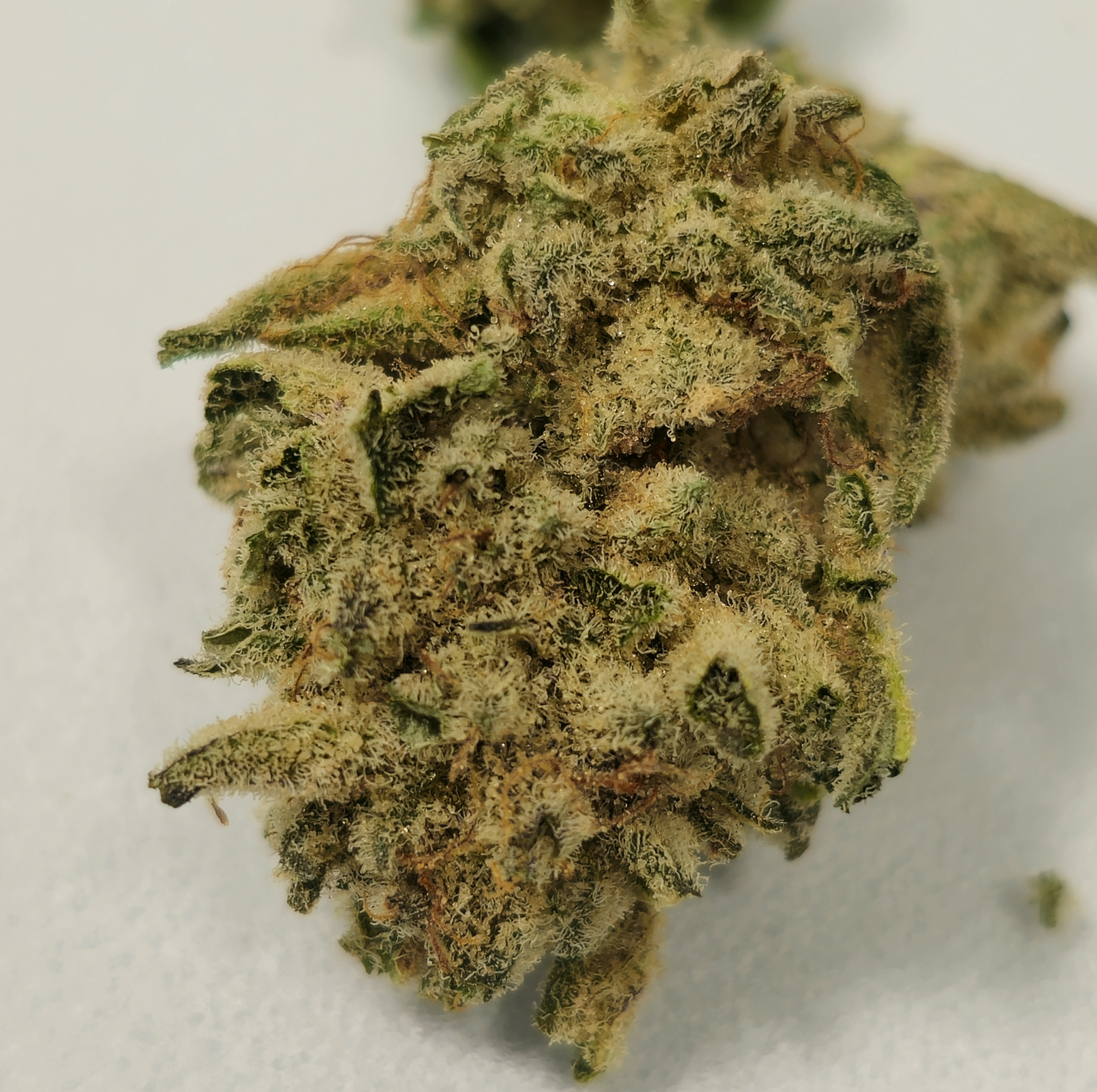 Black Ice Nea