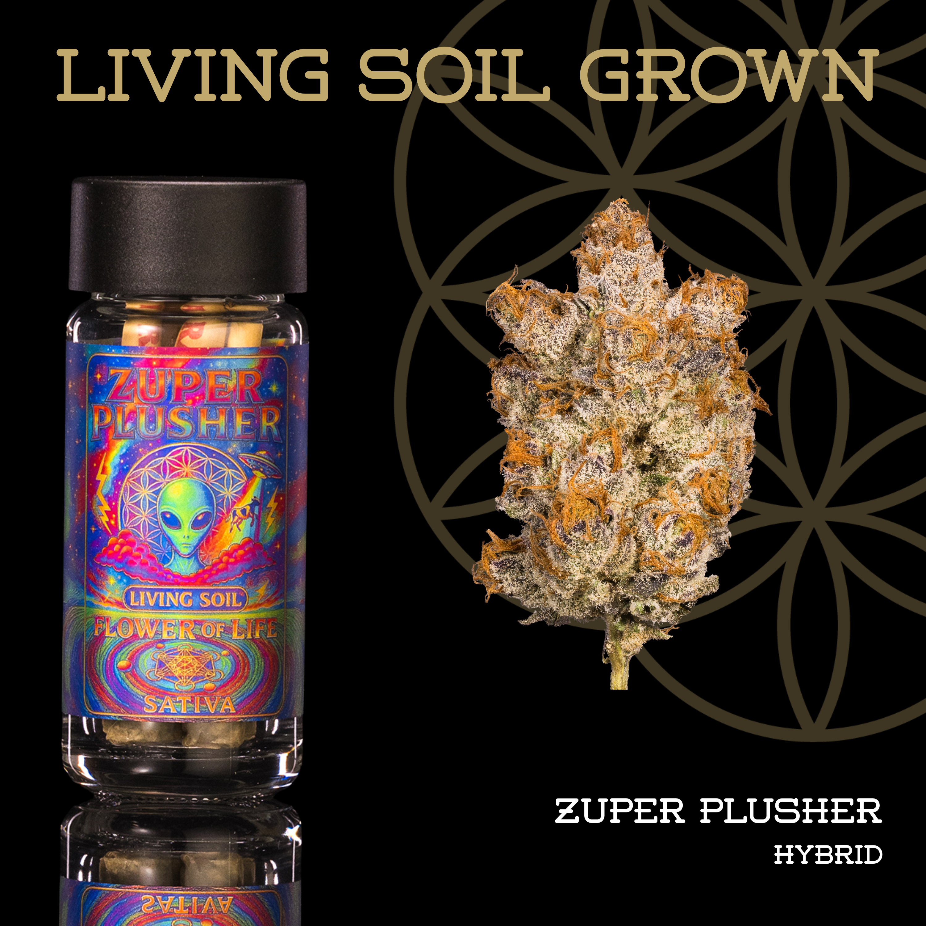 Zuper Plushers | Pre-Roll 5-Pack | 2.5g | Living Soil