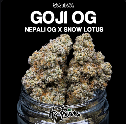 Goji Og Hqfarms Platinum