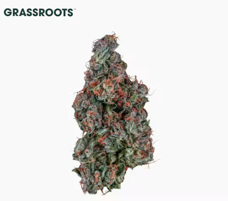 GRASSROOTS Stardawg x Northern Lights Small Buds 3.5g