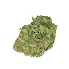 Carmel - Animal Face - 14g