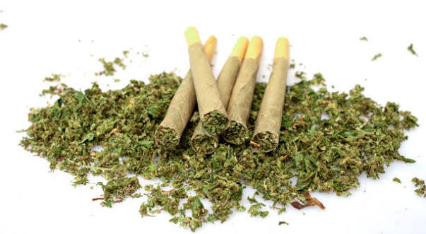 (10pk x 1g) T-1000 Prerolls by Go Get 'Em (DOH)
