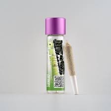 l Big Bang Mini l Infused PreRoll l Super Silver Haze l .05g