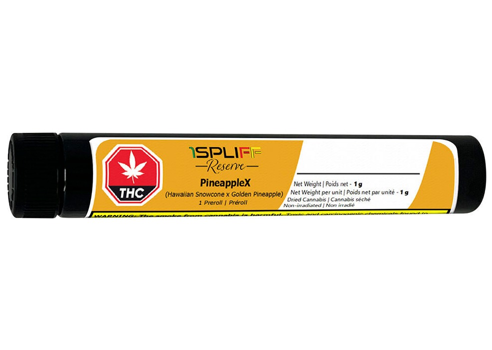 PineappleX Premium Glass Tip Pre-Roll | 1x1g