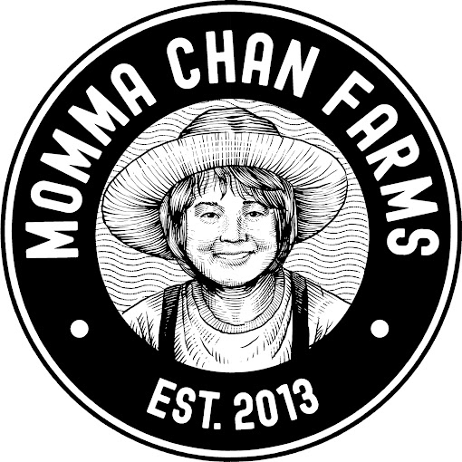 Momma Chans Harry Dabs Rosin