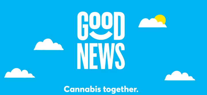 Good News Gummies Fast Asleep Sour Blueberry 1:2 CBN:THC (I) 100mg