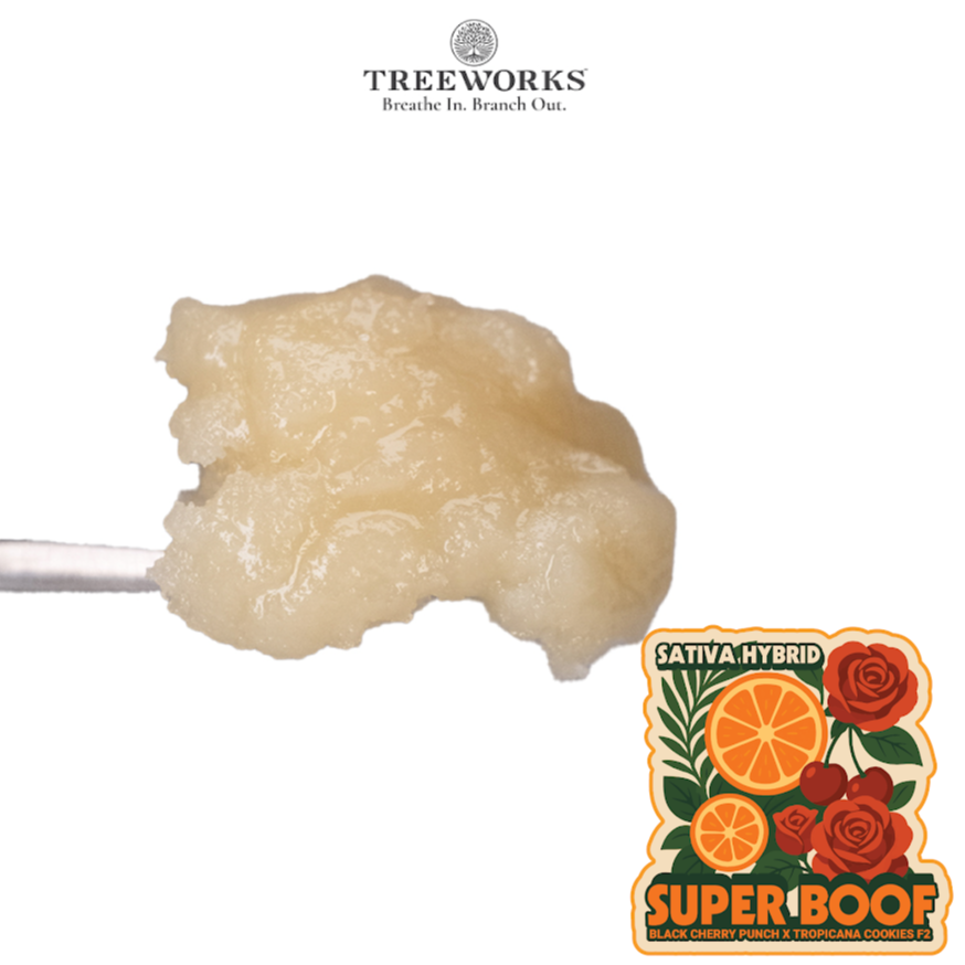 Superboof | Live Jam | 1g