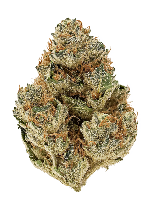 *Tropicanna Cherries - GREEN LEAF SPECIAL (R) - TH3 Farms - 1oz in Rainier