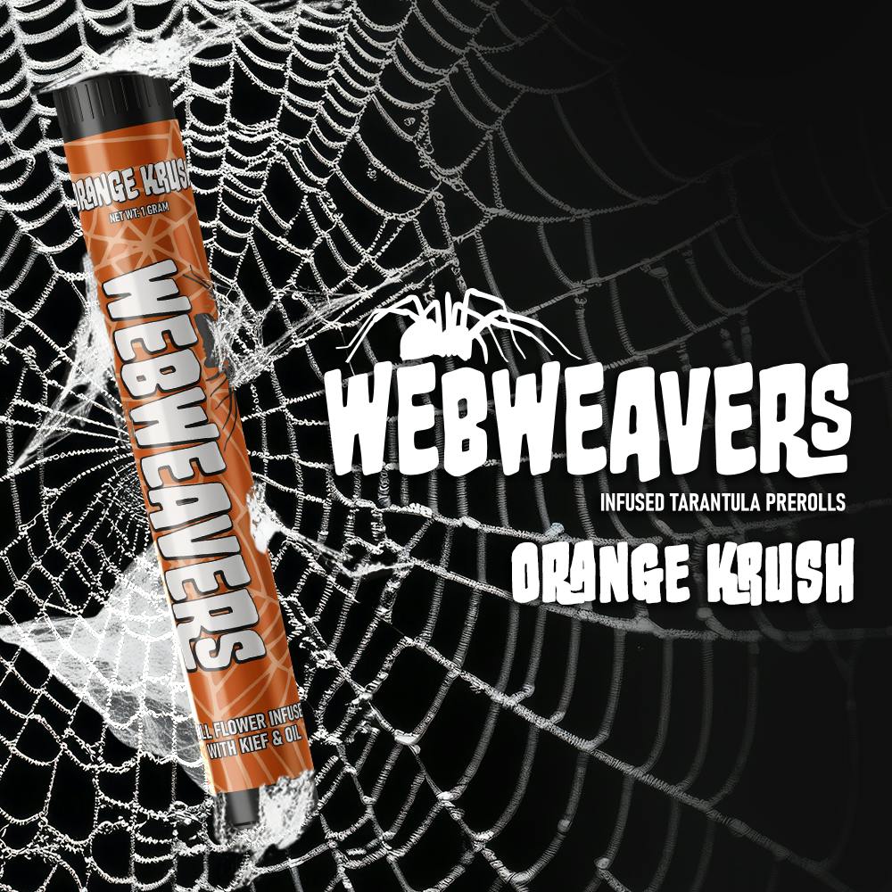 Orange Krush Tarantula   1 G