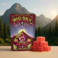 Restore Berry Limeade Gummies 20pk