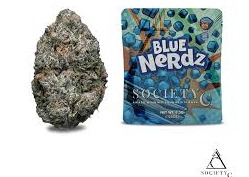 Society C Blue Nerdz Pre Packaged
