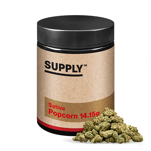 Rollins Popcorn - 379305
