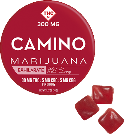 Camino - Gummies - Wild Cherry (S) (300mg 6:1:1 CBC:CBG)