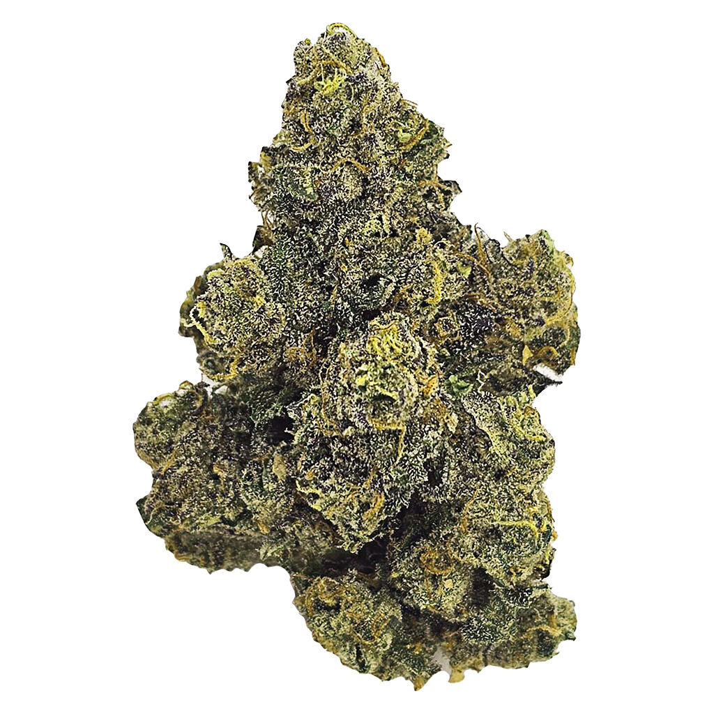 Purple Octane (Biscotti x SherbBX1) x (Jealousy F3) | 7g | Green