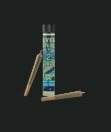 Revert Skywalker OG 2pk Infused Pre-roll