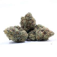 Six Labs | Sherb Cream Pie | Bulk Flower | Purple Tier