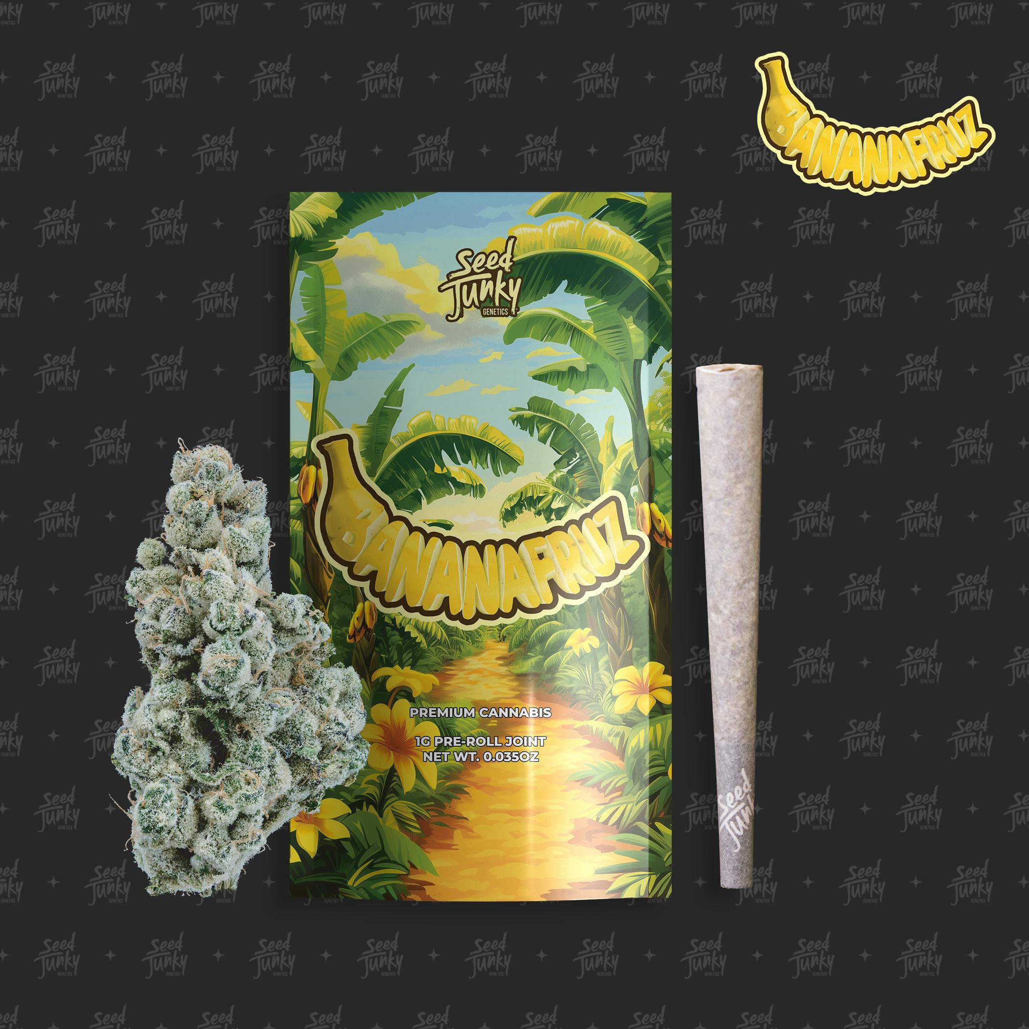 Banana Fruz Indoor