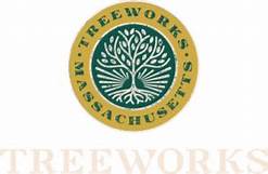 Treework's T-Shirt product photo