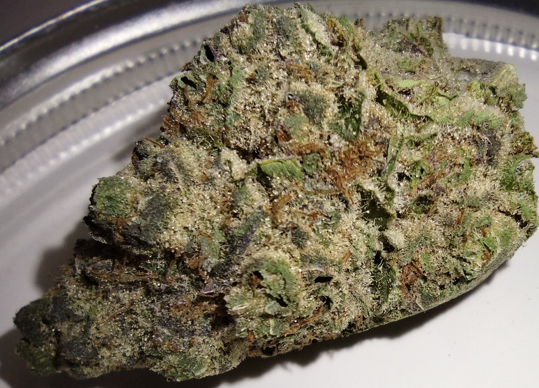 605 Cannabis - Mimosa - 3.5g - Flower