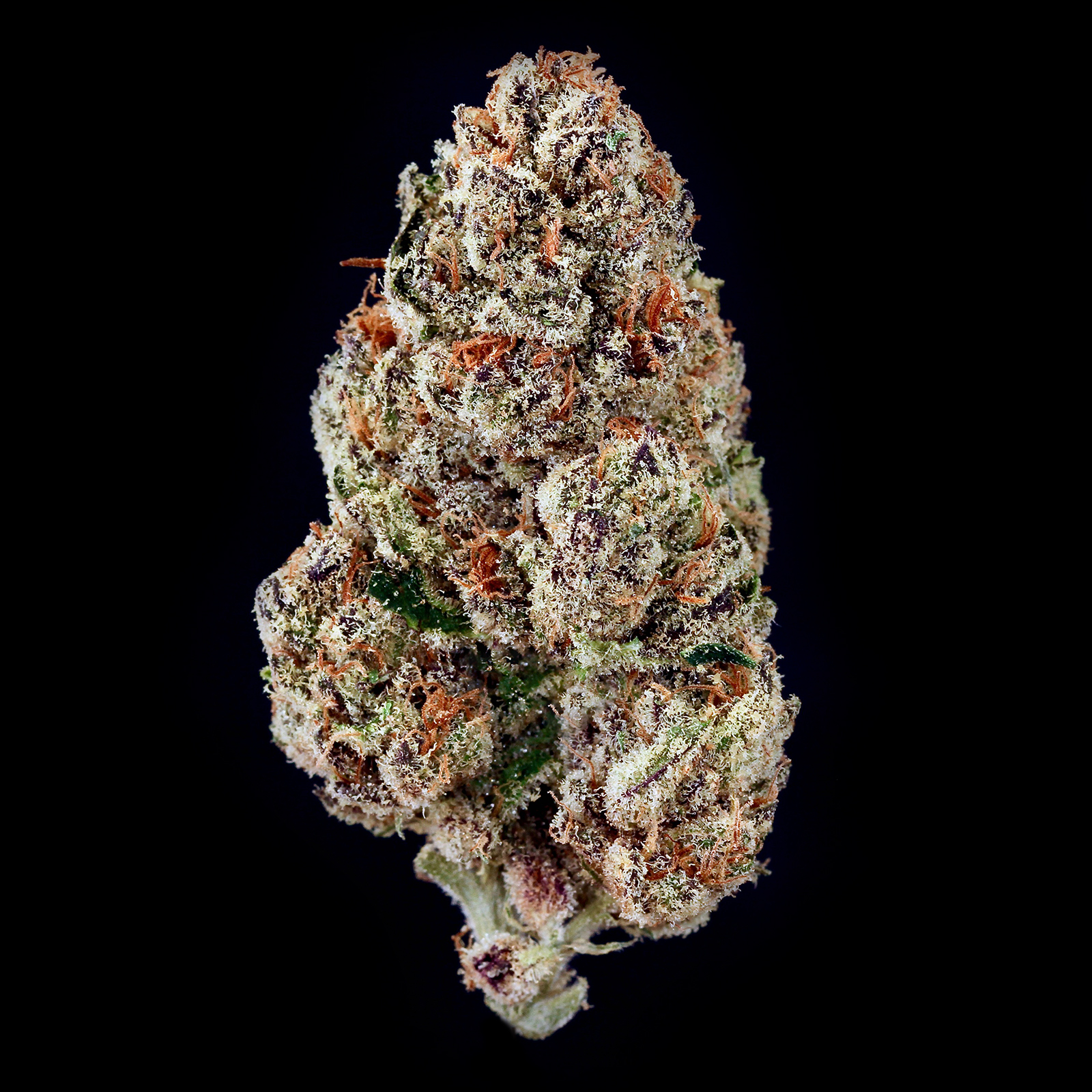 Gl Bud Mandarin Cookies