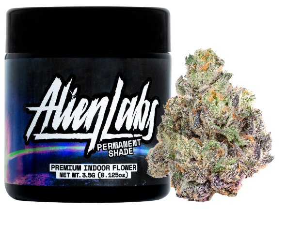 Alien Labs: Jar - Permanent Shade