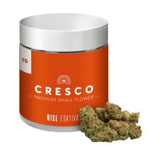 Mango Mintality Smalls | 7g