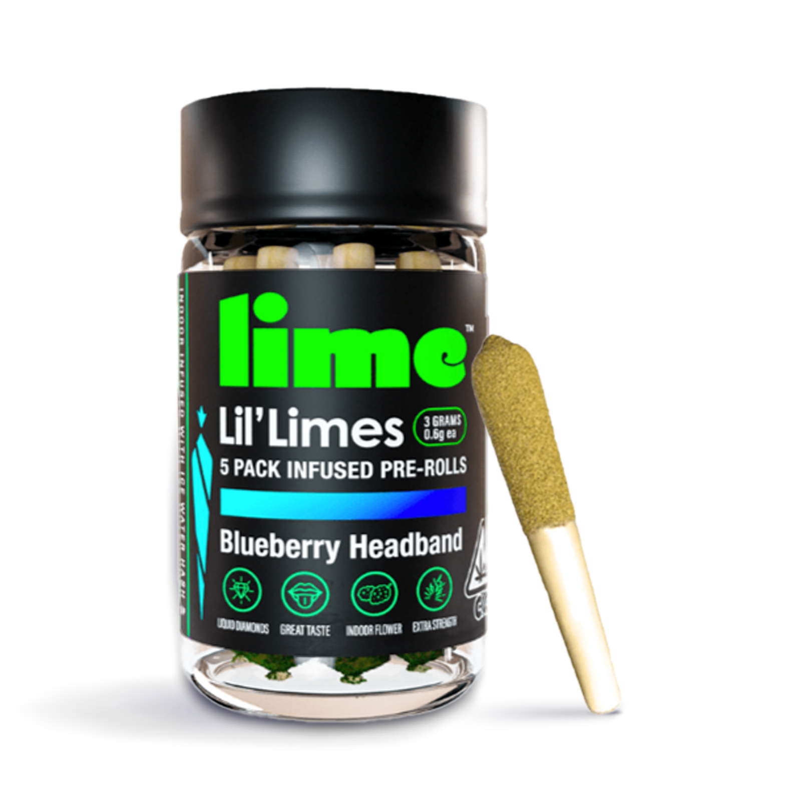 Lime: Blueberry Headband Lil Limes 5