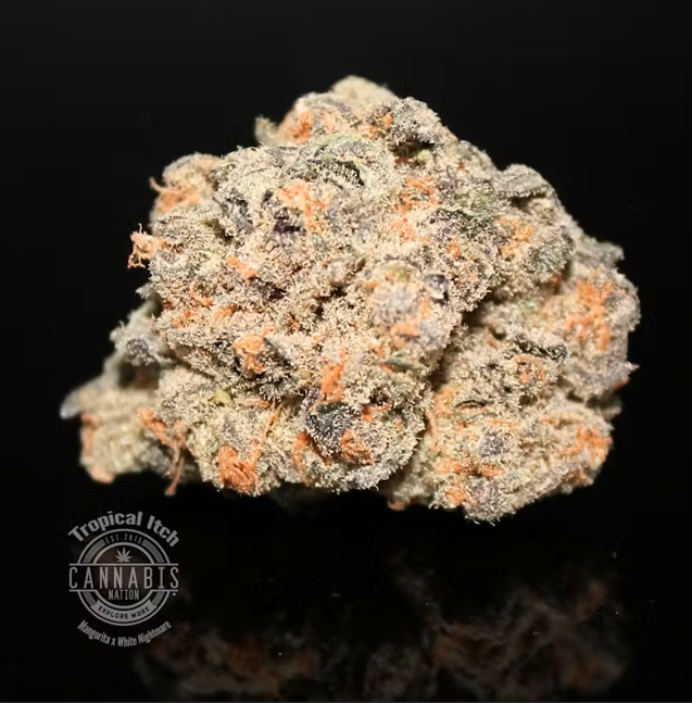 Flower | Tropical Itch