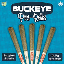 BR: Split Paint 5pk Pre Rolls