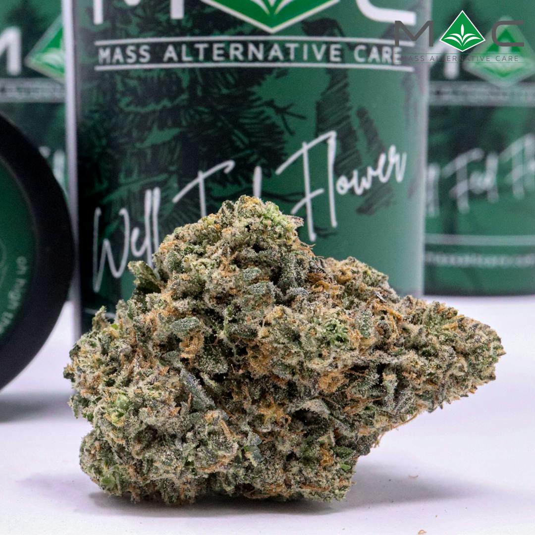 Cartoons & Cereal Flower | 3.5g - MAC