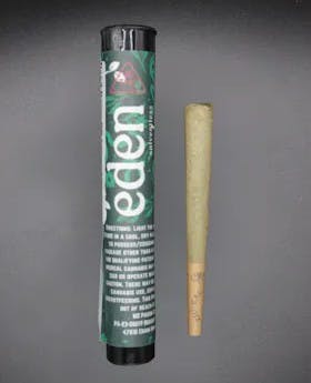 Hash Infused Pre-roll Goo Berry