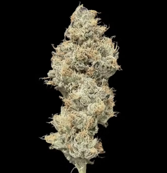 (2) Alternative Solutions: Petro Chem (H-I)