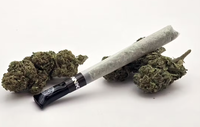 Hash Infused Preroll Banana Kush