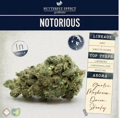 Butterfly Effect - Notorious - Flower - 3.5g