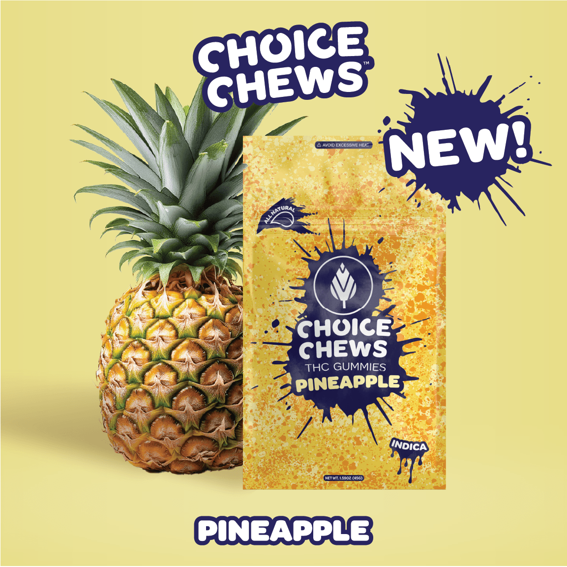 Choice Chews | 10mg 10pk Gummies | Pineapple product photo