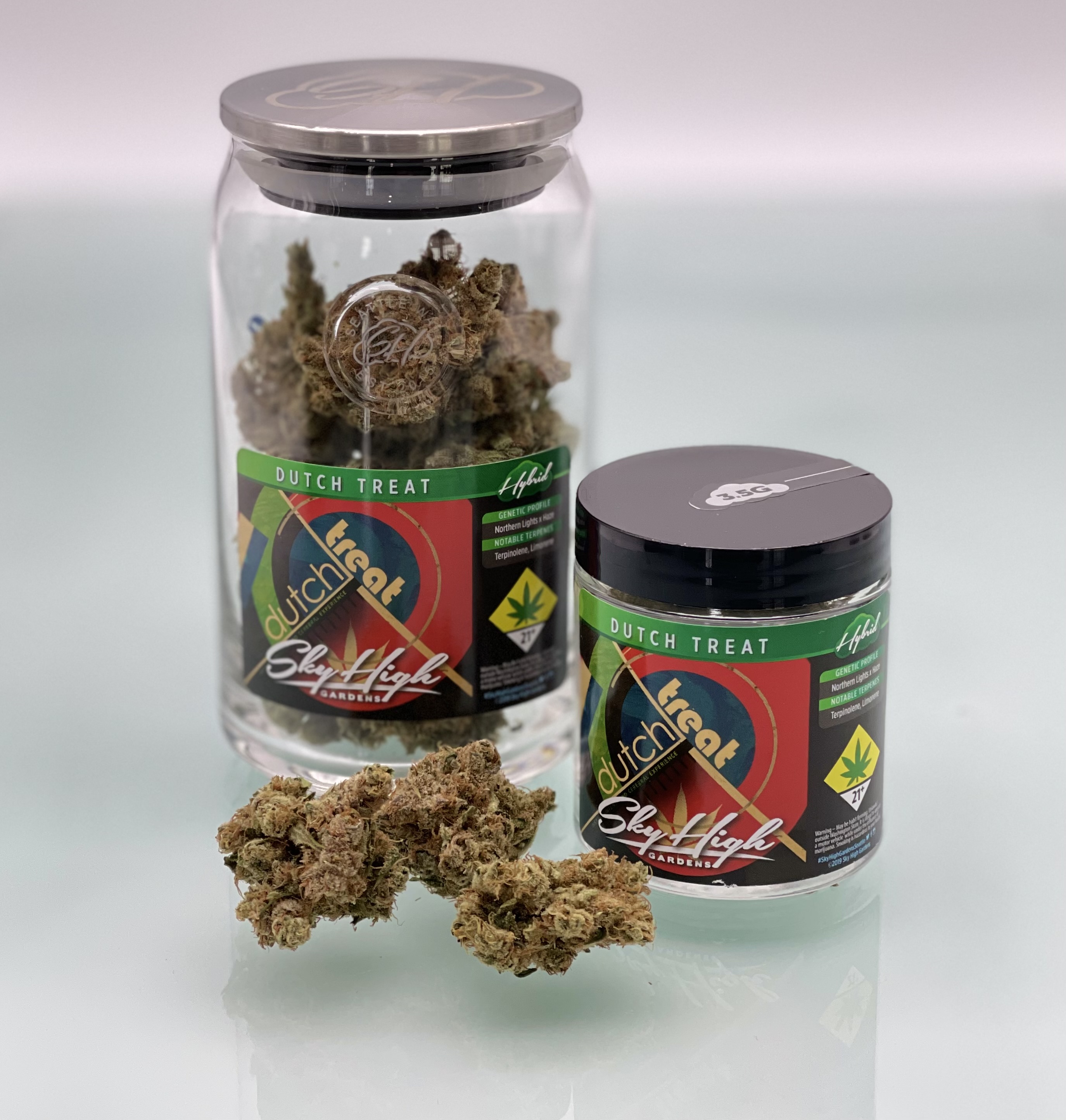 Dutch Treat