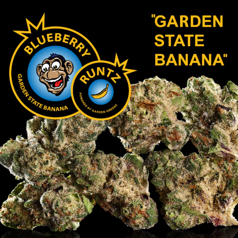 Garden State Banana | Blueberry Runtz 3.