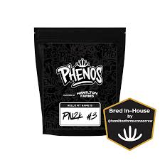 Phenos | Panama2K | Flower - 1/8oz in Atlantic City