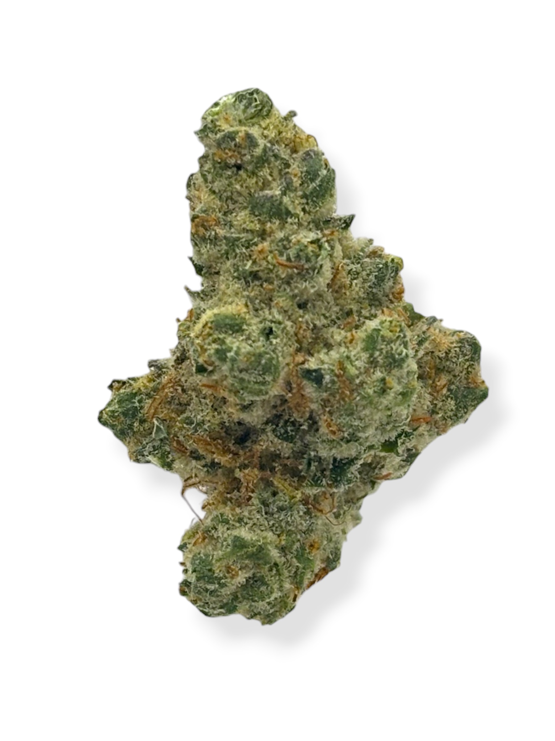 Six Labs - Grease Bucket "Smalls"