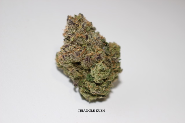 Triangle Kush Craft Indoor Hydro